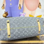 Louis Vuitton CarryAll MM M13289 Gray